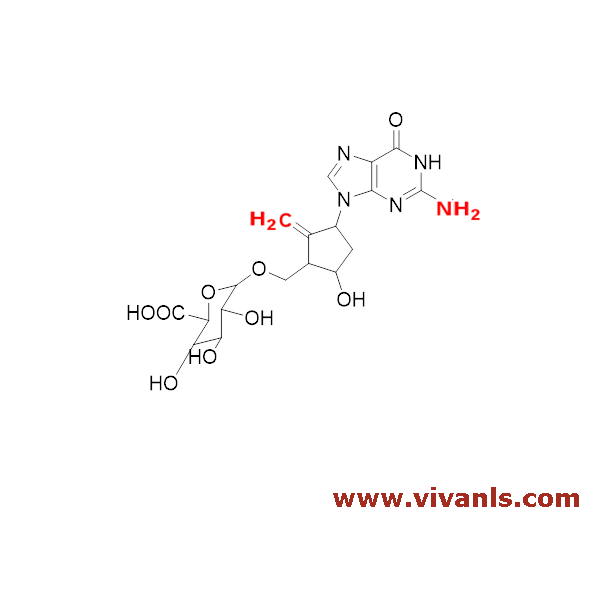 Glucuronides-Entecavir Glucuronide-1654755401.png